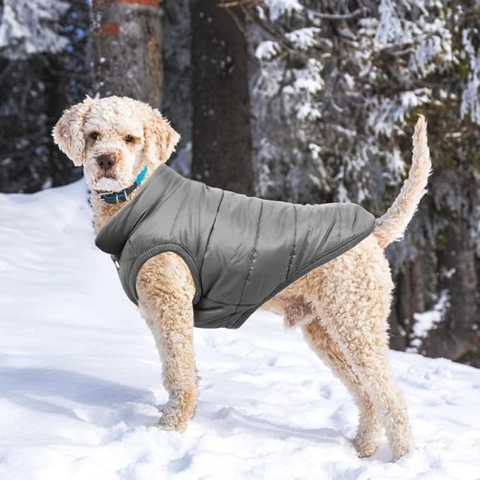 Warm Dog Coat, Windproof Dog Jacket Fleece Pet Winter Coats Solid Color Dogs Clothes Cold Weather Pet Jacket Vest Soft Puppy Apparel for Small Medium Dogs Cat (XXL, Grey)