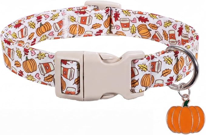 Fall Dog Collar, Puppy Collar for Extra Small Girls Boys Dogs, XS