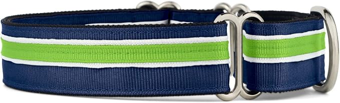 If It Barks 1" Martingale Collar for Dogs, Adjustable Nylon, USA Made, Small, Finley