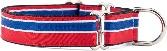 If It Barks 1" Martingale Collar for Dogs, Adjustable Nylon, USA Made, Small, Patriotic