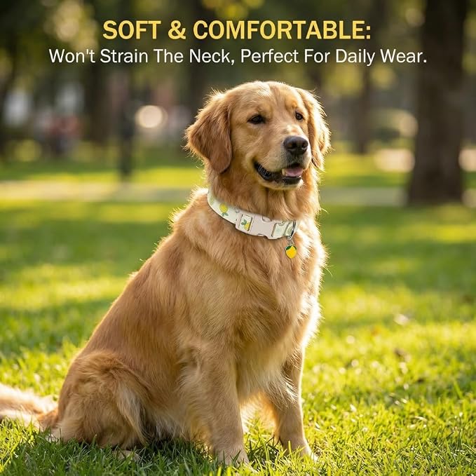 Dog Collar, Spring Summer Dog Collar with Yellow Lemon and Cute Charm, Pet Collar with Quick Release Buckle and Durable Fabric, Suitable for Small Dogs