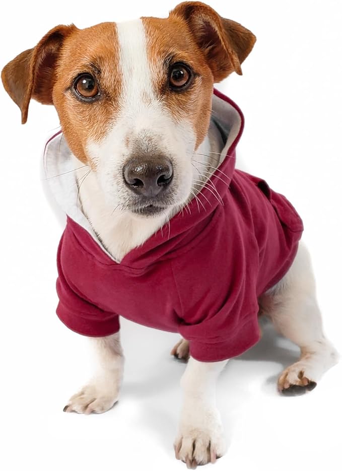 DJANGO Dog Hoodie – Warm Winter Dog Sweater & Fully Lined, Cozy Sweatshirt for Small & Medium Dogs, Dachshunds – Soft, Stretchy, Puppy Hoodie with Leash Portal, Elastic Waistband – Burgundy Red, Small