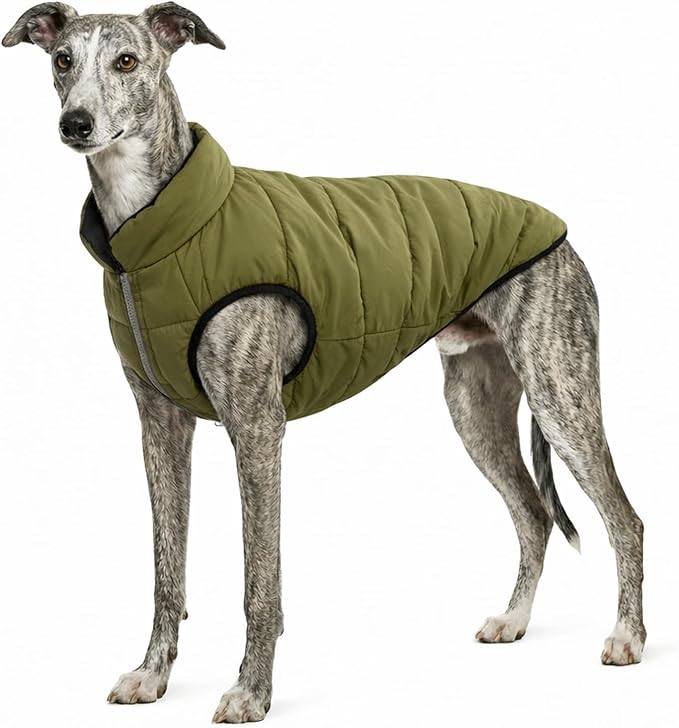 PetWarm Reversible Dog Winter Coat, Windproof Dog Puffer Vest, Soft Vest for Dogs with Hook-and-Loop Strap for Easy Dressing, Waterproof Coat for Dogs with Adjustable Fit, Green, 2XL