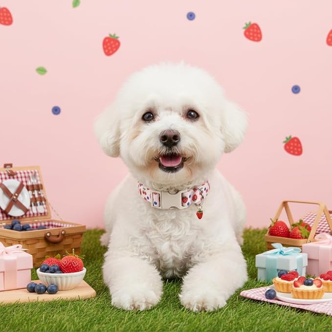 Girl Dog Collar, Cute Dog Collar for Medium Dogs with Cute Strawberry, Cherry and Blueberry Print, Pink Collar for Dogs with Quick-Release Buckle and Robust D Ring, M