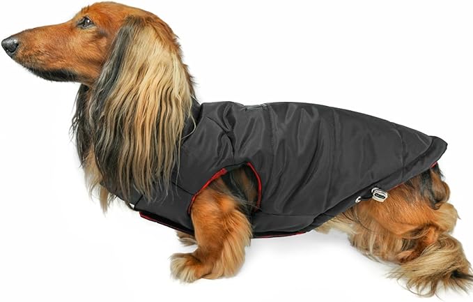 DJANGO Reversible Puffer Dog Coat – Warm Winter Dog Jacket & Water-Repellent Insulated Dog Coat with Harness Hole, Windproof, Adjustable Fit Vest for Small & Medium Dogs, Dachshunds – Black, Medium