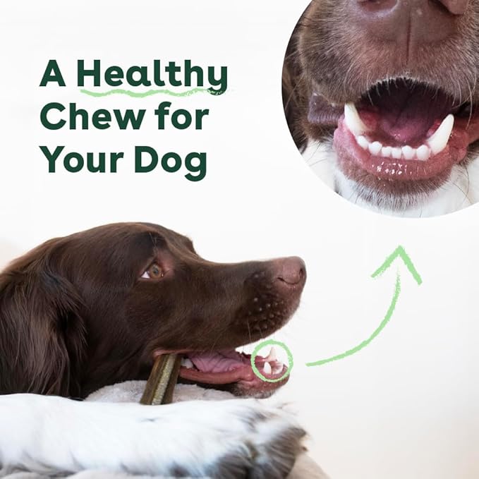 Pupford Dental Chews for Dogs, All-Natural 4-Inch Sticks for Plaque, Tartar & Bad Breath, Grooved Texture, Limited Ingredients, Made in USA (30 Count)