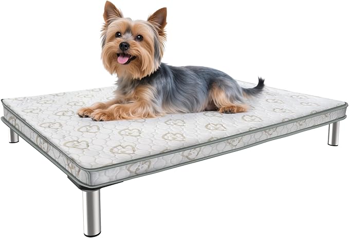 FXW TitanNest Chew-Proof Elevated Dog Bed, Raised Cot for Indoor/Outdoor/Camping Use, Durable & Waterproof Cooling Pet Bed with Exclusive Cover for Toy Dogs, 24.0" L x 20.0" W x 4.1" H, Black