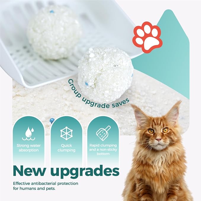 MOONFOREST Tapioca Cat Litter, Cassava Cat Litter Odor Control Dust-Free Clumping Litter