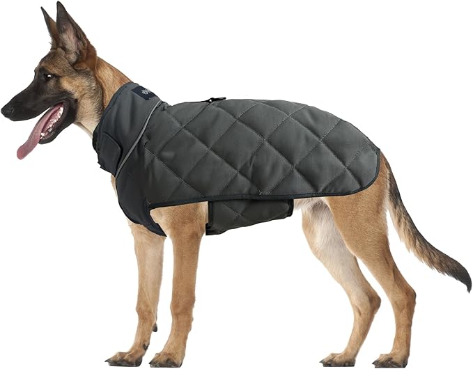 Weighted Dog Vest, Tactical Weight Coat with Beads for Dogs - Relieve Anxiety, Build Muscle & Optimize Health, Premium Heavy Duty Dog Training Jacket for Exercise and Strength (Dark Grey, XL)