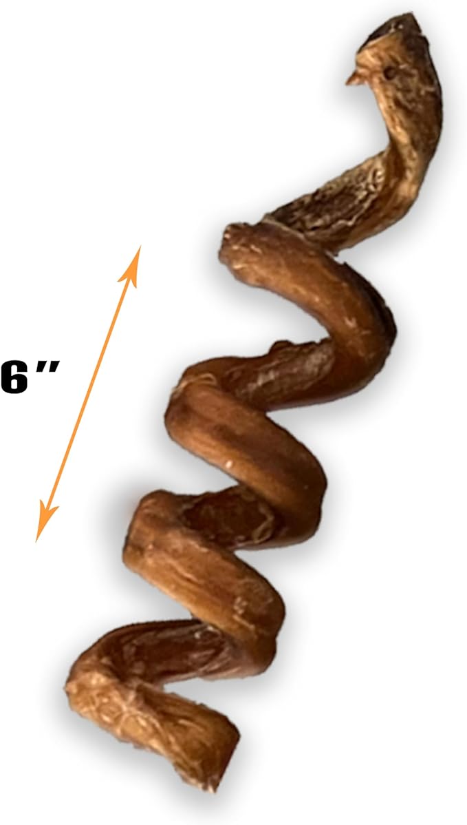 Bully stick springs for dogs - Fun, challenging single ingredient treats - Digestible Pizzle Stick chews - Healthy spiral bullysticks - Curly beef stick treats. (PACK OF 50)