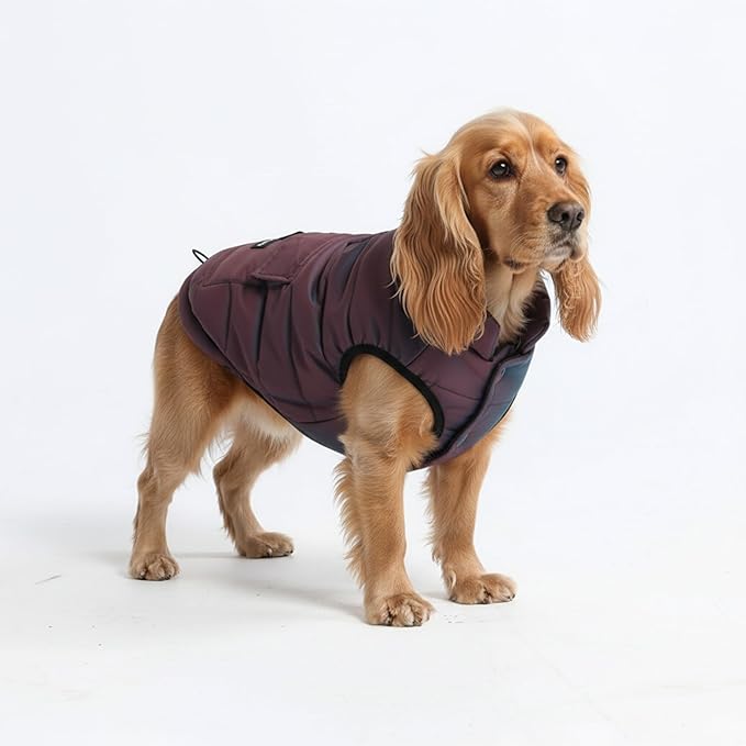 Spark Paws Dog Winter Jacket, Water-Resistant Coat, Warm Reflective Windproof Fleece-Interior, for Medium and Large Dogs - Cosmic - L