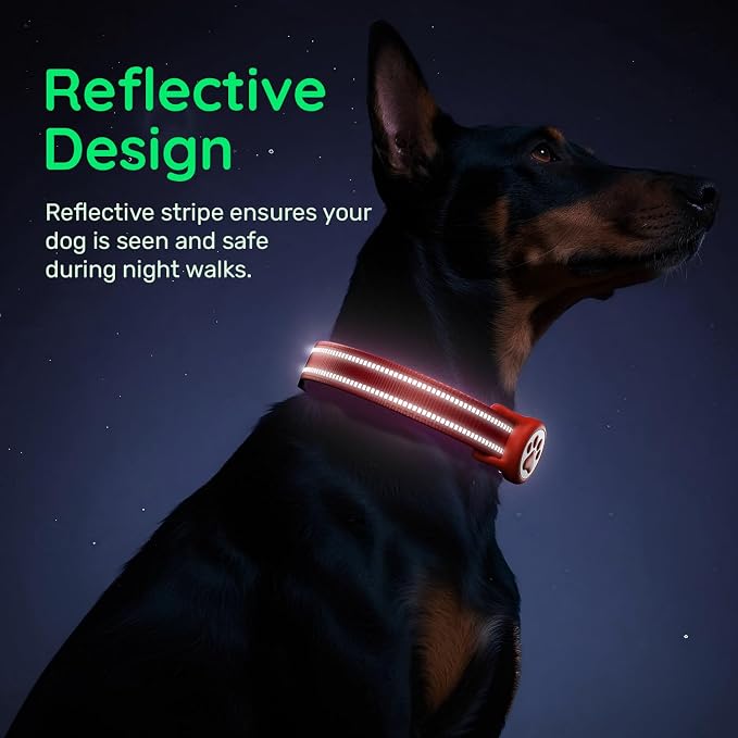 Premium Airtag Dog Collar，with IP68 Waterproof AirTag Holder,Red,L | Soft,Breathable,Nylon Padded,Reflective,Ultra-Durable Buckle,Adjustable,Comfortable for Small Medium Large Dogs