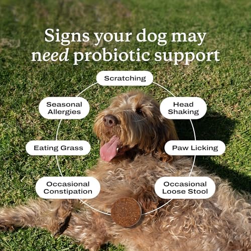 PetLab Co. Probiotic Chews for Dogs, 30 Soft Chews, 2-Pack