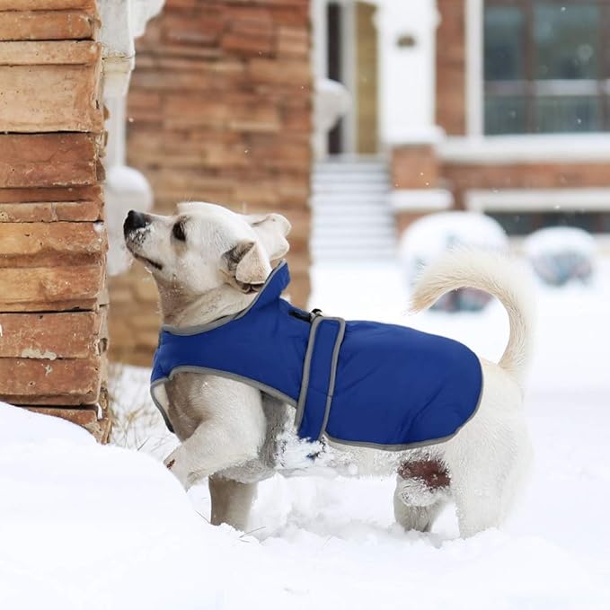 MIGOHI Warm Dog Coat Winter Dog Jacket,Waterproof Cold Weather Coats for Dogs,Fleece Jacket for Small Medium Large Dogs,Reflective Thick Fleece Vest with Leash Hole