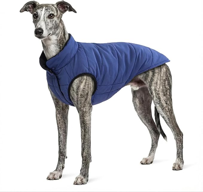 PetWarm Reversible Dog Cold Weather Coats, Waterproof Dog Puffer Vest, Vest for Dogs with Hook-and-Loop Strap, Windproof Outdoor Coat for Winter Walks and Snowy Days, Blue, L