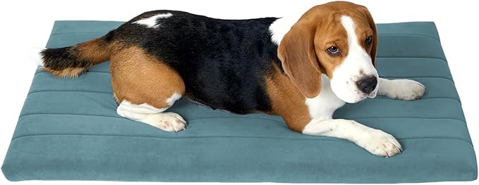 BALANCE Dog Crate Bed, Orthopedic Dog Bed Pad with Waterproof Liner, Washable Crate Foam Pet Mat for Large, Medium, Puppy Dogs Breeds, Powder Blue, 36"x23"x1.6"