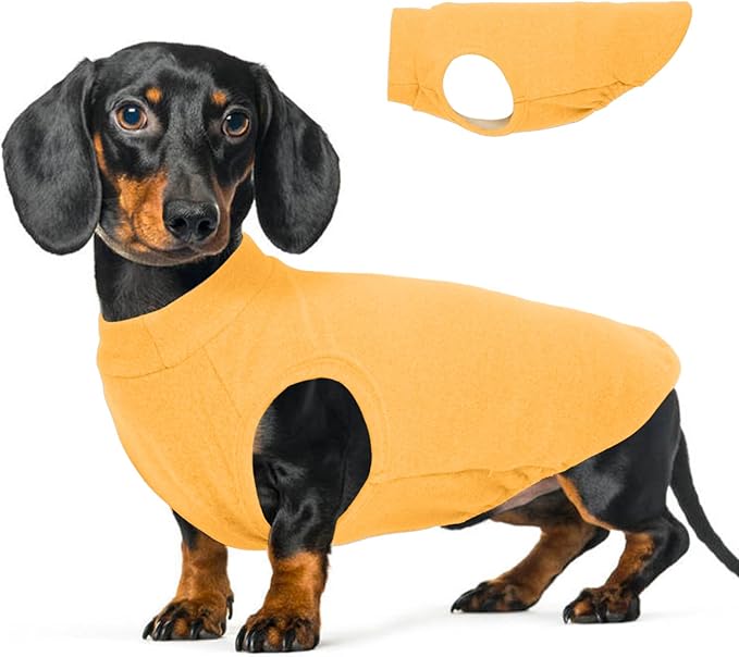 Stretch Fleece Dog Sweatshirt - Yellow, L - Pullover Sleeveless Vest | Warm Stretchable Shirt, Lightweight Breathablefor for Outdoor Movement,Dachshund,French Bulldog