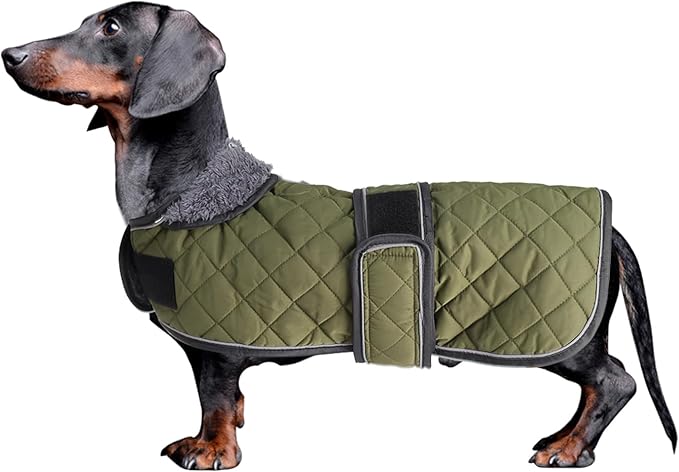 Dachshund Coat Dog Coats for Dachshunds Dachshund Winter Jacket with Padded Fleece Outdoor Dog Clothes with Adjustable Bands - Green - S