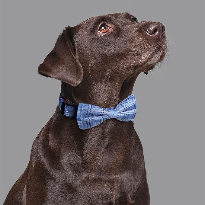 Dog Collar with Bow Tie for Girl or Boy Gift Soft Durable Bowtie Blue Tartan Plaid Large