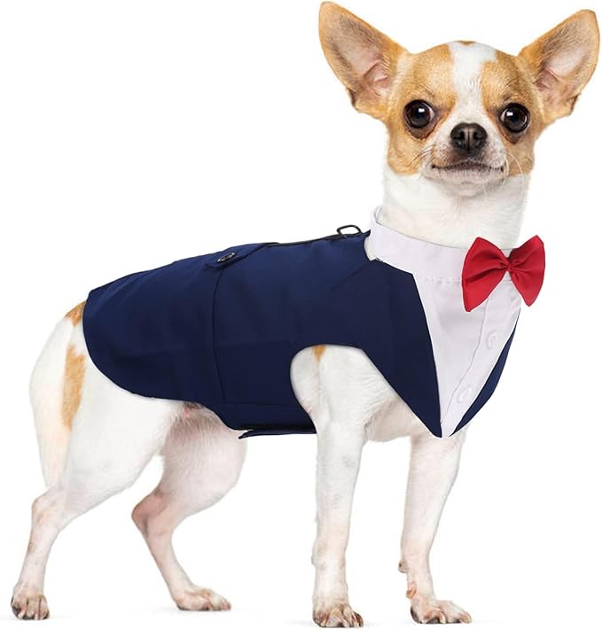PUMYPOREITY Small Dog Bowtie Tuxedo Suit, Cat Tuxedo & Bandana Set for Chihuahua, Boston Terrier, Bichon, Corgi, Pomeranian, 2 Pieces/Pack, S, Blue