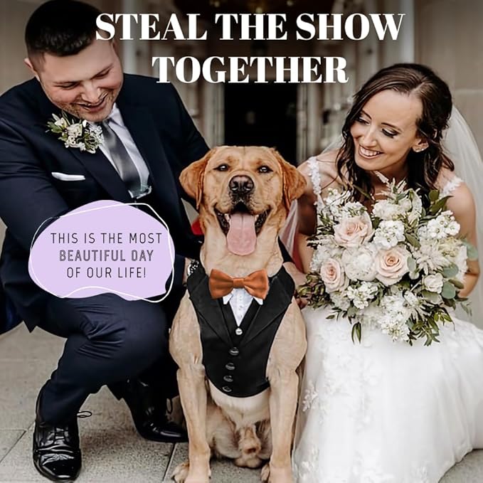 AVERYDAY Dog Tuxedo for Wedding Outfit, Dog Suit and Tie Costumes for Birthday, Halloween, Cosplay, Christmas Party, Pet Formal Wear with Bowtie, Tux for Medium Large Dogs, Bulldog, Labrador, Husky