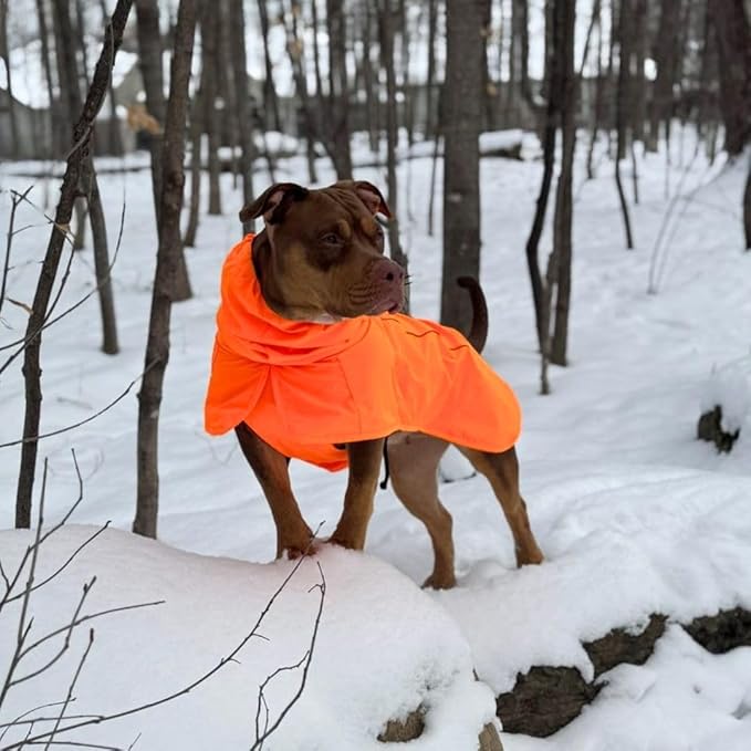 Spark Paws Dog Raincoat, Waterproof Windproof Rain Jacket, for Small Medium Large Extra Large Dogs, Reflective Breathable Full-Body Coverage Dry Suit - Orange - 2XL