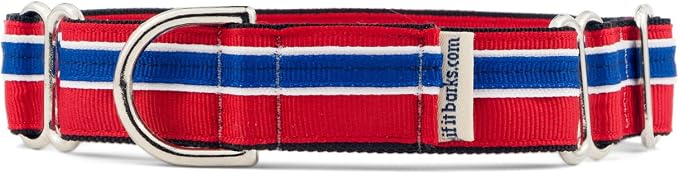 If It Barks 1" Martingale Collar for Dogs, Adjustable Nylon, USA Made, Small, Patriotic