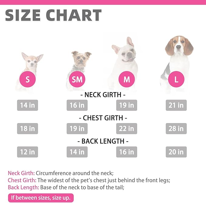 KOOLTAIL Warm Dog Winter Coat for Small Dogs, Waterproof Puppy Jacket with Leash Hole, Cold Weather Pet Vest for Winter, Soft Hoodie Sweater Sweatshirt Clothes for Puppy Cats Girls Boys Rose Red L