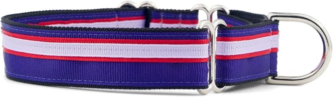 If It Barks 1" Martingale Collar for Dogs, Adjustable Nylon, USA Made, Large, Jelly