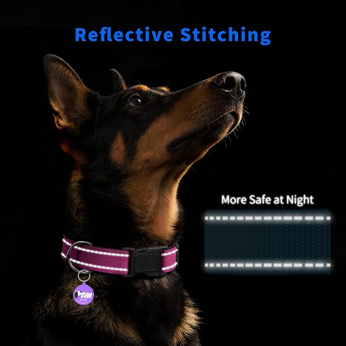 Personalized Dog Collar for Girl Dogs with Smart ID Tag, Hot Pink | Reflective Dog Collar with Smart QR ID Tag, Quick Release Buckle, Adjustable and Comfortable Nylon Pet Collar, Medium
