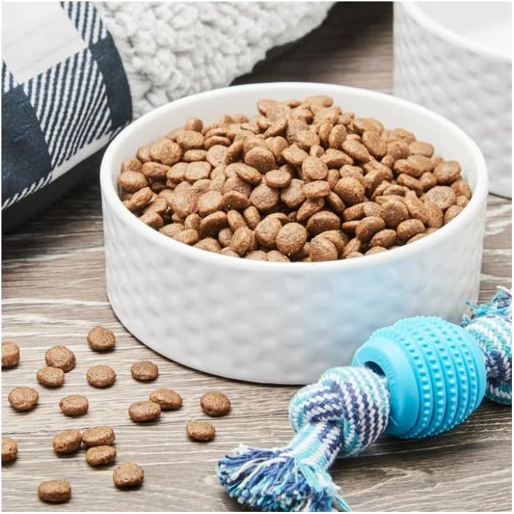 Pure Balance Wild & Free Salmon & Pea Recipe Dry Dog Food, Grain~Free, Real Salmon First Ingredient, No Fillers or Artificial Preservatives, Supports Muscle, Digestion, Heart, and Coat Health ~ 4 Lbs