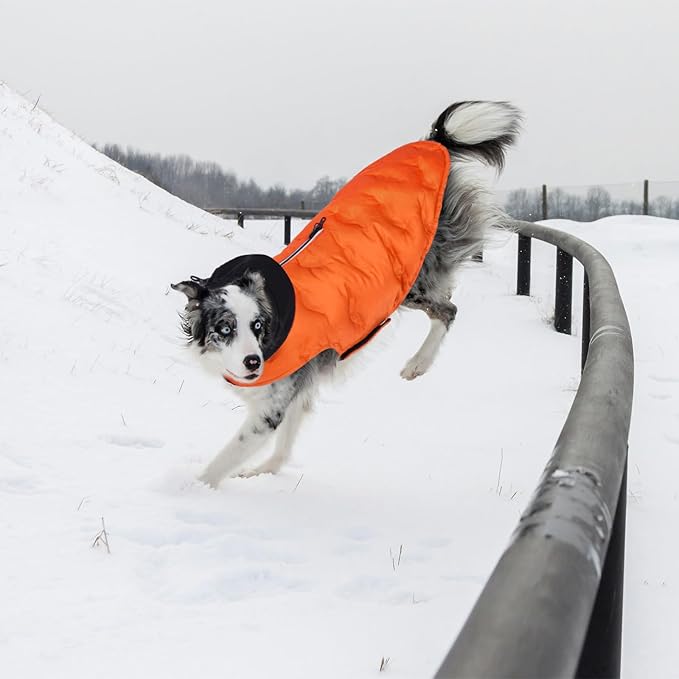 Nanaki Large Puffer Jacket for Dogs for Cold Weather-Warm Dog Winter Jacket with Leash Hole, Lightweight Windproof Puffer Vest with Hood for Outdoor Activities, Snowsuit Halloween Christmas, Orange