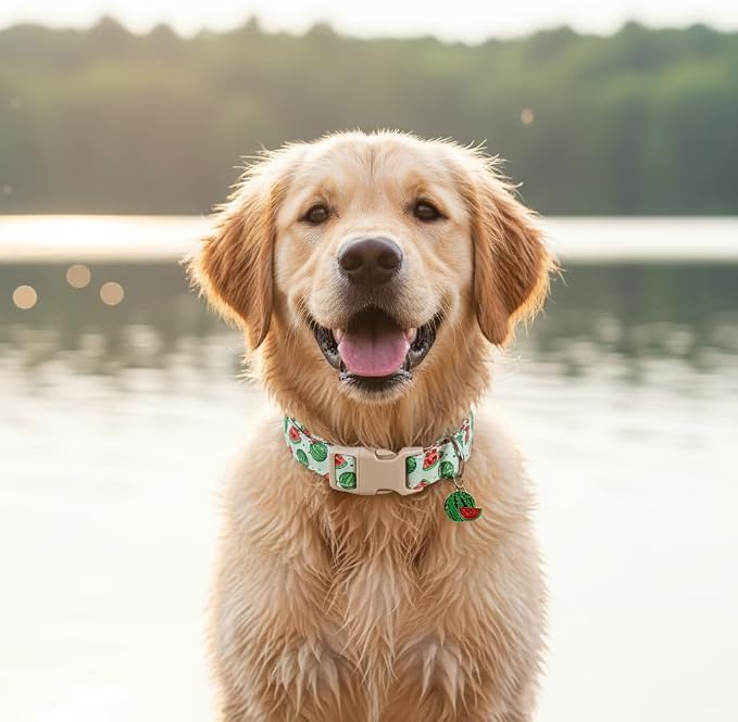 Summer Dog Collar for Medium Dogs, Cute Dog Collar with Watermelon Pattern and Pendant, Green Pet Collar with Soft Cotton Fabric and Robust Buckle