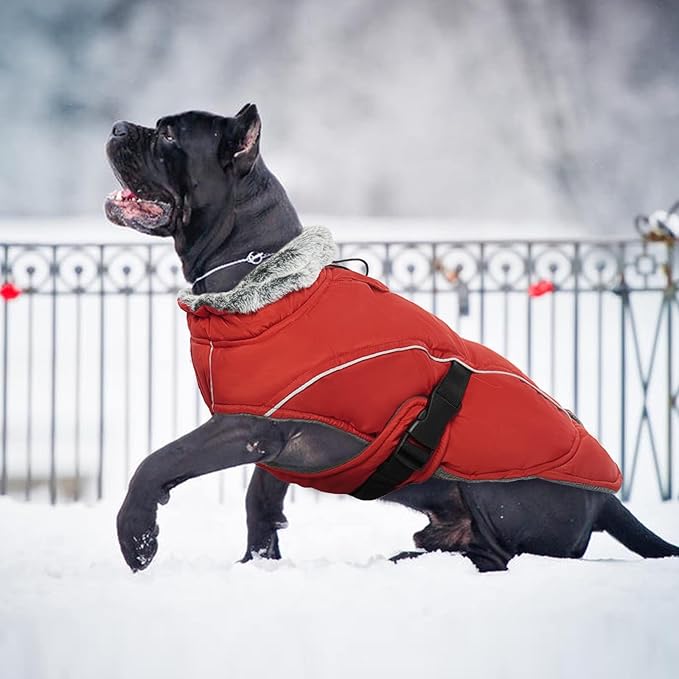 DENTRUN Winter Warm Dog Coat Reflective Jacket with Turtleneck for Cold Weather, Adjustable Buckle Windproof Water Repellent, Thick Snowsuit Fleece Vest for Small, Medium, Large Dogs, Red, XXXL