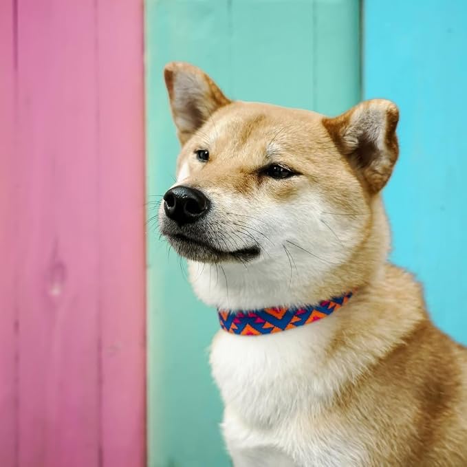 Blueberry Pet Southwestern Tribal Triangles Navy Blue Adjustable Dog Collar with Metal Buckle, Neck 17-20.5", for Large Breed