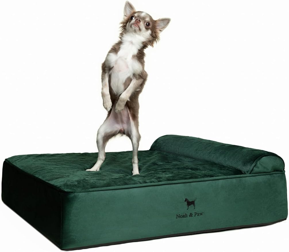 NOAH & PAW Dog Bed, 28x23x7.5 Inch, Orthopedic Dog Beds for Medium Size Pets, Eggshell Memory Foam Infused with Cooling Gel, Waterproof, Machine Washable, Includes Inner Cover (Velvet Collection)