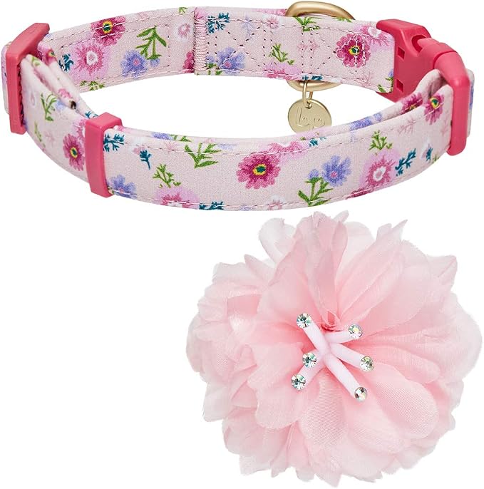 Blueberry Pet Floral Power Cosmos Designer Pink Adjustable Dog Collar with Detachable Pink Peony, Large, Neck 18"-26"