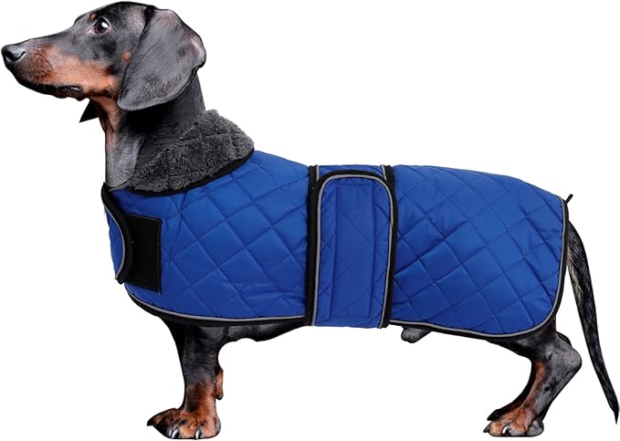Dachshund Coat Dog Coats for Dachshunds Dachshund Winter Jacket with Padded Fleece Outdoor Dog Clothes with Adjustable Bands - Navy - S