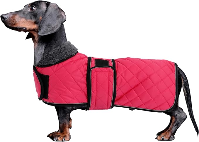 Dachshund Coat Dog Coats for Dachshunds Dachshund Winter Jacket with Padded Fleece Outdoor Dog Clothes with Adjustable Bands - Pink - XS