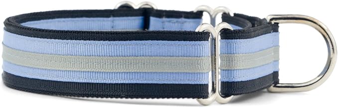 If It Barks 1" Martingale Collar for Dogs, Adjustable Nylon, USA Made, Medium, Black Ice