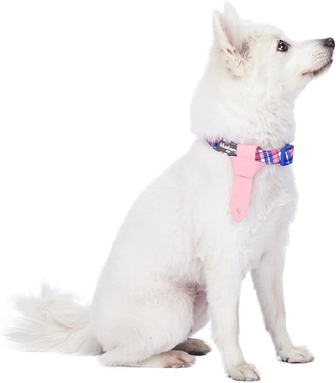 Blueberry Pet 4 Patterns Multiple Hues Scottish Plaid Style Adjustable Tie Dog Collar, Small, Neck 12"-16"