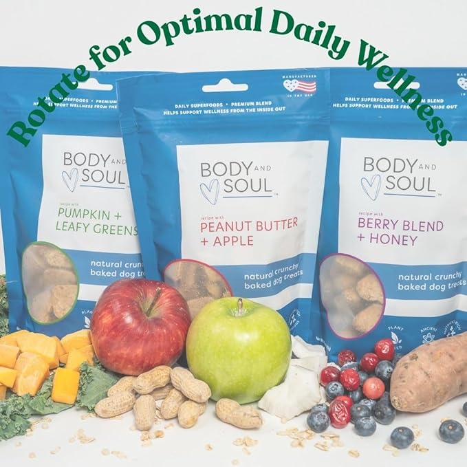 Body and Soul Pumpkin + Leafy Greens Crunchy Dog Treats – Superfood Biscuits Baked with Oats, Barley & Quinoa – All-Natural Plant Based Clean Protein, No Additives or Fillers – Made in USA, 10oz