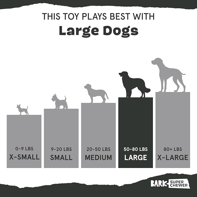 BarkBox Super Chewer Tough Dog Chew Toys - Large