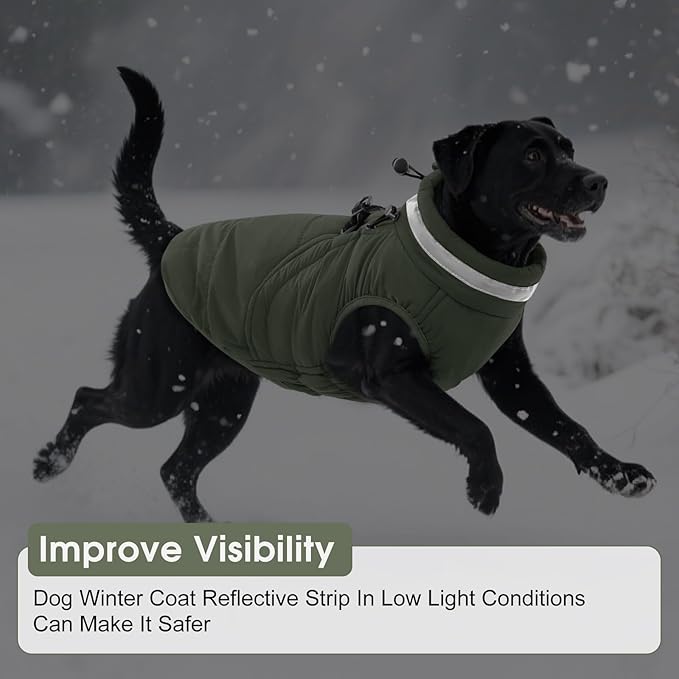 SAWMONG Dog Coat, Warm Dog Winter Coat, Waterproof Fleece Jacket, Cold Weather Dogs Jacket (M,Green)