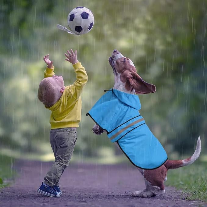 Waterproof Hooded Dog Raincoat - Adjustable Reflective Pet Jacket, Lightweight Dog Slicker Poncho for Small to X- Large Dogs and Puppies (Blue, Large)