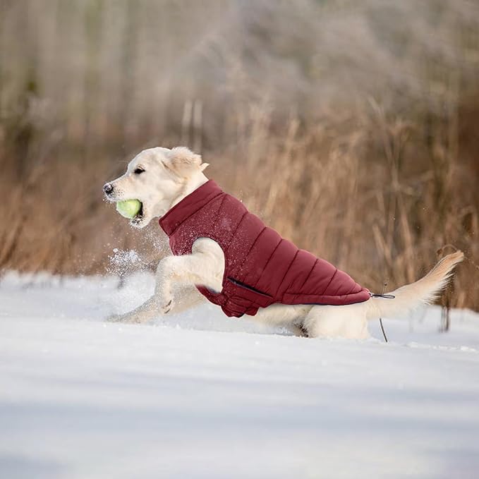 Lelepet Reversible Dog Coat Waterproof Dog Jacket Windproof Puffer Vest for Winter Warm Lightweight Coats for Small Dogs Adjustbale Hook & Loop Pet Apparel with Leash Hole, Chihuahua, Wine Red, XS