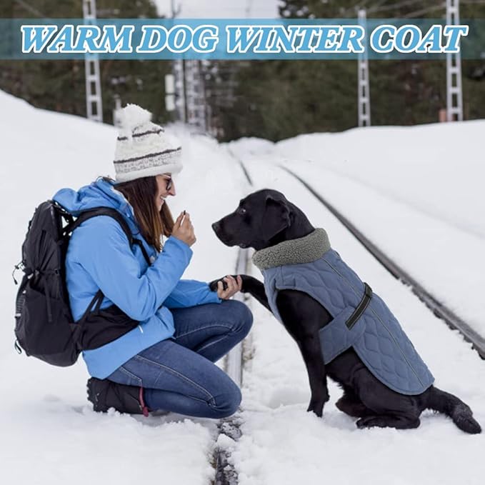 Winter Dog Coats, Warm Fleece Pet Winter Coat for Small, Medium and Large Dogs, Adjustable Dog Jacket with Nylon Buckle, Water Resistant Reflective Safety Coats for Doggie, Blue M