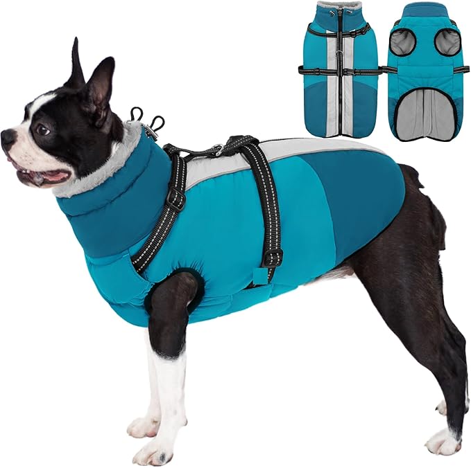 AOFITEE Small Dog Coat, Waterproof Dog Winter Jacket with Harness Built in, Warm Fleece Lined Dogs Jacket for Cold Weather, Reflective Pet Snow Jackets with Zipper for Yorkshire, Schnauzer,Turquoise S