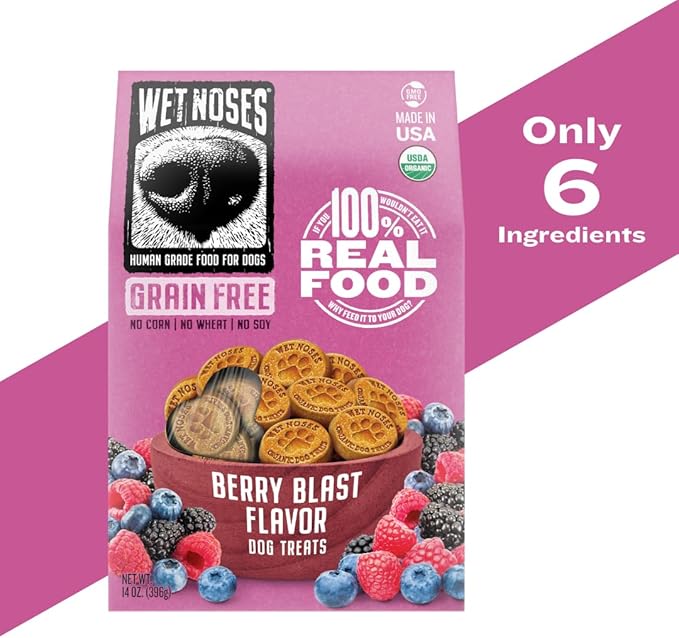 Wet Noses Organic Crunchy Dog Treats Grain Free – All-Natural, Human-Grade, Non-GMO, Healthy Training & Delicious Snacks for Dogs, for All Dog Sizes & Breeds – Berry Blast, 14oz (2 Pack)
