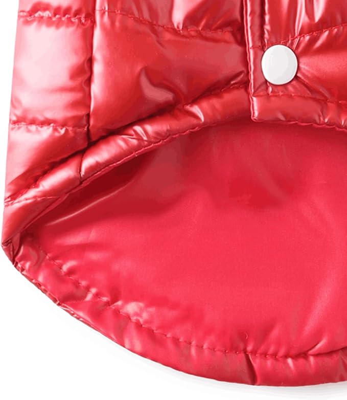 Winter Dog Coat for Small Dogs Chihuahua Warm Jacket for Medium Pet Coats, XL